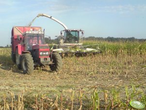 Zetor 12045 i Claas Jaguar 950