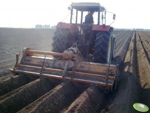 Zetor 16245 + obsypnik do ziemniaków struik 