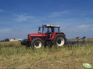 Zetor 16245 + Rabe Werk