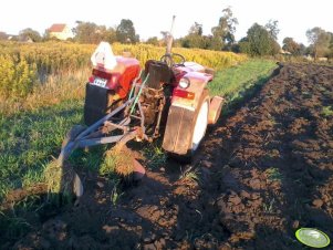 Zetor 3011 + Pług