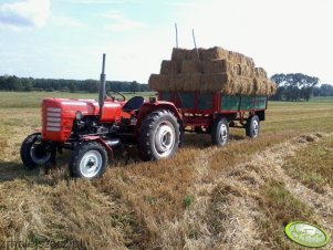 Zetor 3011 + Przyczepa