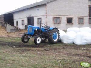 Zetor 3011 vs kiszonka