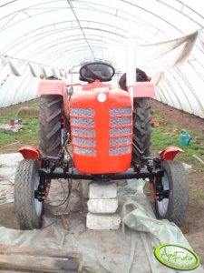 Zetor 3011