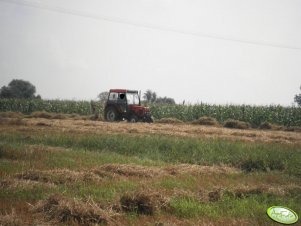 Zetor 3320 i pajak
