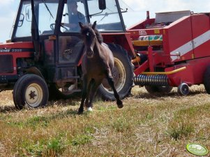 Zetor 3320 + Metal Fach