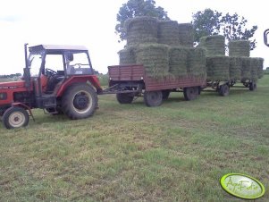 Zetor 5211 & 2x przyczepy