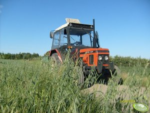 Zetor 5211 i przyczepa