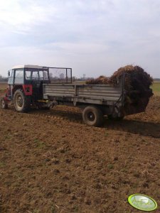 Zetor 5211 i Rozrzutnik obornika