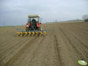 Zetor 5211 i siewnik buraków