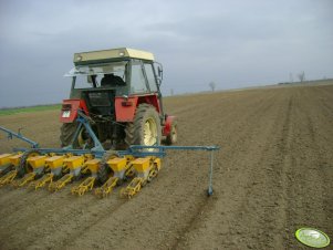 Zetor 5211 i siewnik buraków