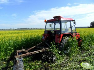 Zetor 5211 i talerzówka 2,2m