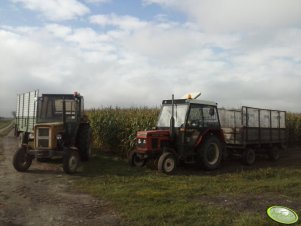 Zetor 5211 & rozrzutnik obornika 