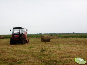 Zetor 5245