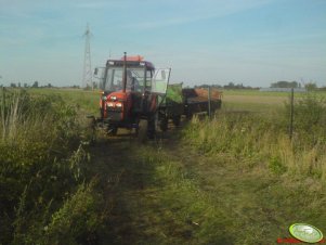 Zetor 5320 + przyczepy