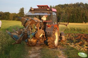 Zetor 5320 + Rabewerk