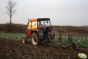 Zetor 5320 + Rabewerk