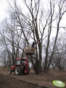 Zetor 5320 z masztem od bułgara