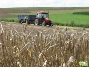 Zetor 5340 & D-55