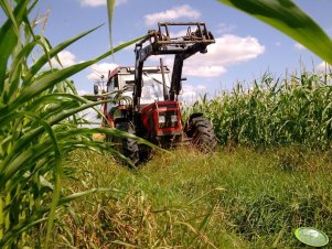 Zetor 5340 + Fella