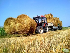 Zetor 5340 + przyczepy