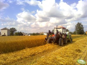 Zetor 5340 + Sipma 