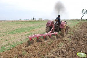 Zetor 5545 + pług Unia Grudziądz 5x25