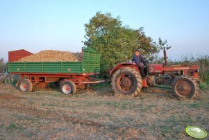 Zetor 5545 + przyczepa D732