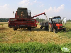 Zetor 6011 & Bizon Super Z056