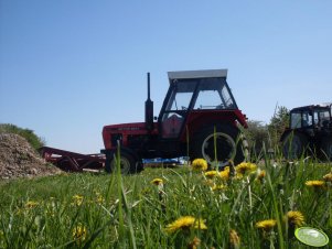 Zetor 6211