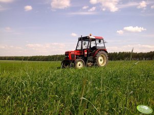 Zetor 6320