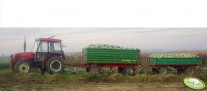 Zetor 6340 + dwie przyczepy