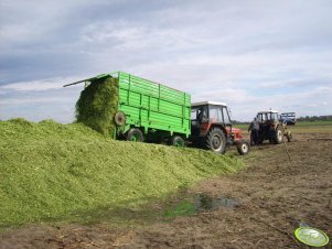 Zetor 7011 na kopcu