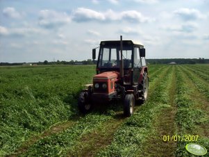 Zetor 7011 + Samasz