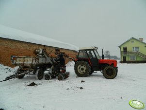 Zetor 7045 i mini ładowarka sam 