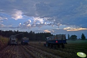 Zetor 7045 + przyczepa, MTZ 82, Jaguar 6xx