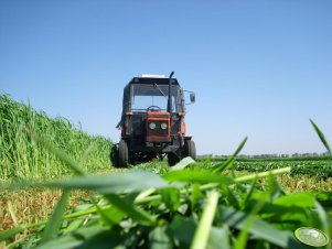 Zetor 7211 i kosiarka 