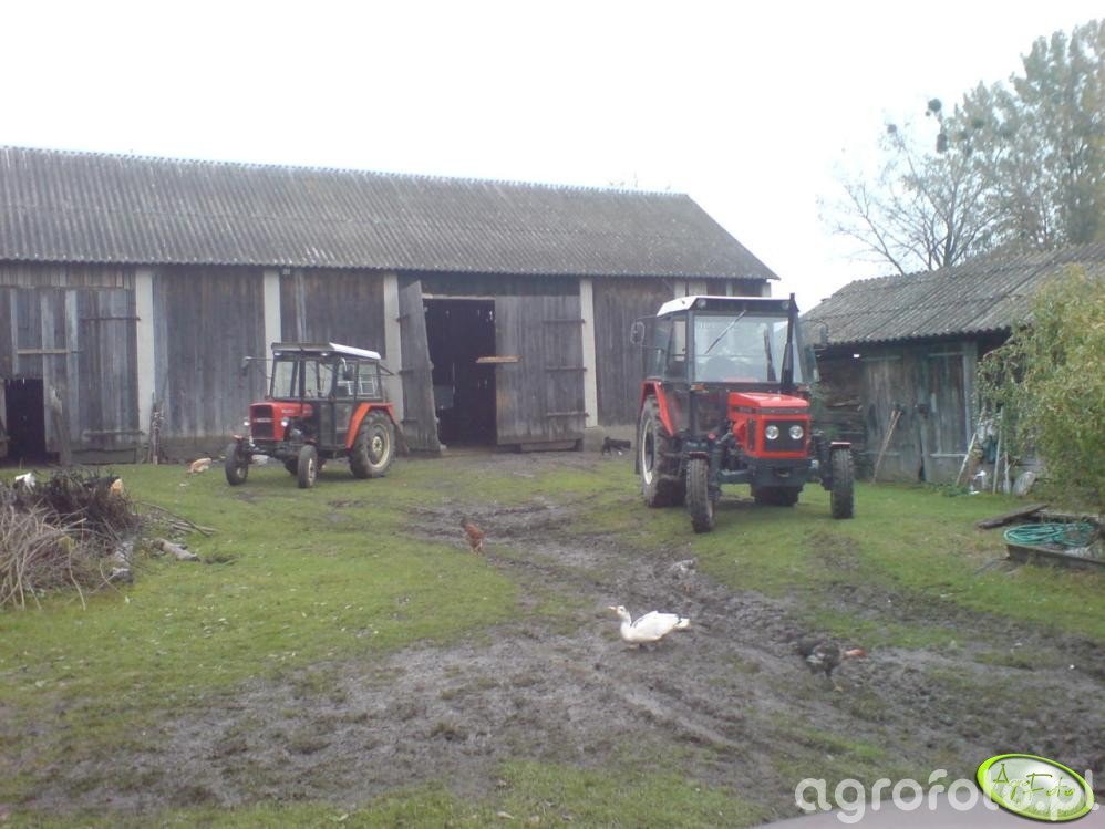 Foto Ciagnik Zetor 7211 I Ursus C-330 Id:188069 - Galeria Rolnicza Agrofoto