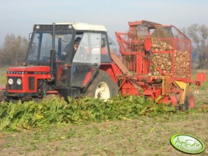 Zetor 7211 + Neptun 2
