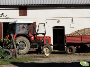 Zetor 7211 + przyczepa