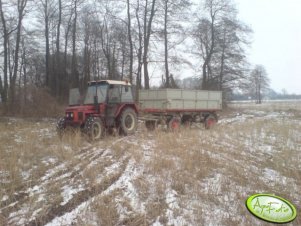 Zetor 7245 + przyczepa