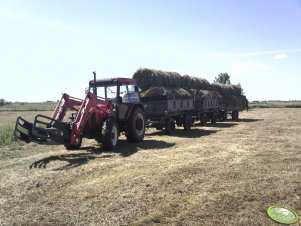 Zetor 7340 + przyczepy