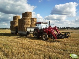 Zetor 7340 + przyczepy