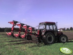 Zetor 7340 + Sukov Roto 4