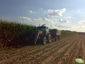 Zetor 7341 + Mengele 350 Turbo + D47