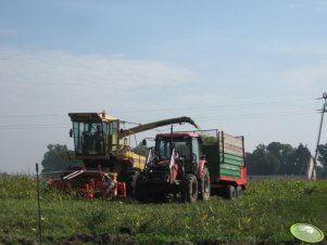 Zetor 7341 + rozrzutnik Warfama 