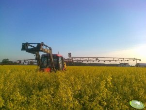 Zetor 7341 + TL 200 + Tad-len 800/15