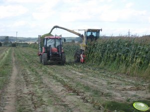 Zetor 7341 + Warfama