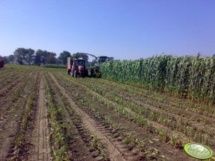 Zetor 7441 Proxima + rozrzutnik Brimont