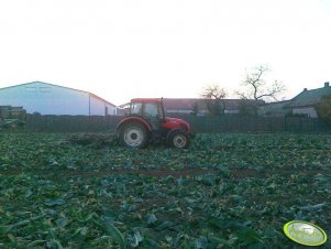 Zetor 7441 Proxima + talerzówka