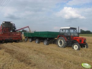 Zetor 7711 i Bizon Z056